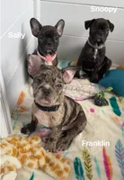 processed/b3d53036-d321-4348-952b-f041d7163909/listing/2c20d3d9-969e-4958-8796-57eccb07a498/34ce0144-64c6-4cd2-8619-36d62a4198d1