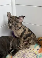 processed/b3d53036-d321-4348-952b-f041d7163909/listing/2c20d3d9-969e-4958-8796-57eccb07a498/86186760-7f7e-45bc-bf3f-8b88fb790bd8