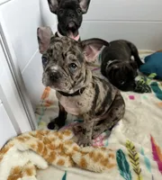 processed/b3d53036-d321-4348-952b-f041d7163909/listing/2c20d3d9-969e-4958-8796-57eccb07a498/a524dad4-50cd-4af3-9cc1-b502b69ab8d6