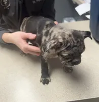 processed/b3d53036-d321-4348-952b-f041d7163909/listing/2c20d3d9-969e-4958-8796-57eccb07a498/bfe86bb8-34be-4c38-881a-771a632b343a