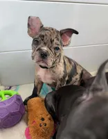 processed/b3d53036-d321-4348-952b-f041d7163909/listing/2c20d3d9-969e-4958-8796-57eccb07a498/cb08ccfe-faa5-43ca-9768-caaedb38b931