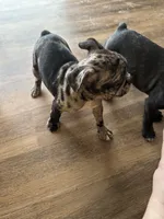 processed/b3d53036-d321-4348-952b-f041d7163909/listing/2c20d3d9-969e-4958-8796-57eccb07a498/ce686913-c606-47d2-9174-5f9947c34c34