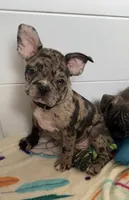 processed/b3d53036-d321-4348-952b-f041d7163909/listing/2c20d3d9-969e-4958-8796-57eccb07a498/f91bbb5f-d113-4e04-aa4e-e4c7e43bf521