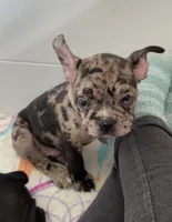 processed/b3d53036-d321-4348-952b-f041d7163909/listing/2c20d3d9-969e-4958-8796-57eccb07a498/fa492889-d32e-42b1-903b-446c5b56f0e8