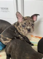 processed/b3d53036-d321-4348-952b-f041d7163909/listing/2c20d3d9-969e-4958-8796-57eccb07a498/fad73ef2-ae77-4e4c-ad0a-082d29a36a85