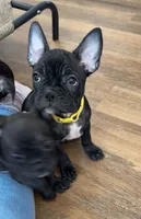 processed/b3d53036-d321-4348-952b-f041d7163909/listing/57231c99-f78c-431f-8bcf-0a7253028a12/16ee5edf-ffcc-4bc1-bbf8-22c322f61db4