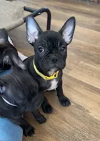 processed/b3d53036-d321-4348-952b-f041d7163909/listing/57231c99-f78c-431f-8bcf-0a7253028a12/31e0b756-5497-420f-a826-083f95be04c9