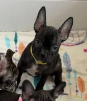 processed/b3d53036-d321-4348-952b-f041d7163909/listing/57231c99-f78c-431f-8bcf-0a7253028a12/42750199-d6bd-4b73-8c89-7a722b9ec84e