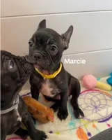 processed/b3d53036-d321-4348-952b-f041d7163909/listing/57231c99-f78c-431f-8bcf-0a7253028a12/7cc6b3d6-93df-4b6a-8cb9-415b079b2e8c