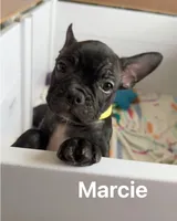 processed/b3d53036-d321-4348-952b-f041d7163909/listing/57231c99-f78c-431f-8bcf-0a7253028a12/91c052ae-4990-4f82-86b0-0c761237424a