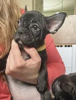 processed/b3d53036-d321-4348-952b-f041d7163909/listing/57231c99-f78c-431f-8bcf-0a7253028a12/c55c69f7-d9cf-4b1e-8e52-1bbe6bc4ebd7