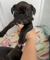 processed/b3d53036-d321-4348-952b-f041d7163909/listing/8b908315-373e-4546-83be-29372000062f/361ea0a9-1a34-40f5-978c-a074986beeed