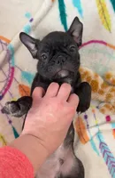 processed/b3d53036-d321-4348-952b-f041d7163909/listing/8b908315-373e-4546-83be-29372000062f/42059d30-f4a1-4a5d-a6d5-29af57a39e67