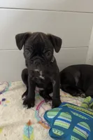 processed/b3d53036-d321-4348-952b-f041d7163909/listing/8b908315-373e-4546-83be-29372000062f/4ffe239d-504e-4d2c-b56b-565a25c381cf