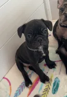 processed/b3d53036-d321-4348-952b-f041d7163909/listing/8b908315-373e-4546-83be-29372000062f/6f9c8ded-2d5d-4c35-86e5-124c50573bd0