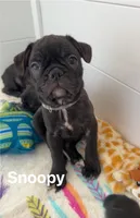 processed/b3d53036-d321-4348-952b-f041d7163909/listing/8b908315-373e-4546-83be-29372000062f/7a2f620b-261c-402c-9efa-052b9cc8059e