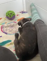 processed/b3d53036-d321-4348-952b-f041d7163909/listing/8b908315-373e-4546-83be-29372000062f/8eec1fee-7c4f-45aa-ac41-e9cb503a14eb