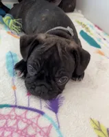 processed/b3d53036-d321-4348-952b-f041d7163909/listing/8b908315-373e-4546-83be-29372000062f/a428986b-4743-4501-bb4b-4d7b5ac3b503