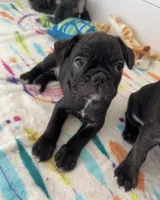 processed/b3d53036-d321-4348-952b-f041d7163909/listing/8b908315-373e-4546-83be-29372000062f/a4774587-a91e-42fe-8911-416838322786