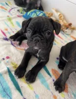 processed/b3d53036-d321-4348-952b-f041d7163909/listing/8b908315-373e-4546-83be-29372000062f/c5e1dba9-7dd5-4029-be12-c2690fe89c36