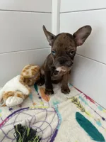 processed/b3d53036-d321-4348-952b-f041d7163909/listing/a380c576-c73b-40b5-a8b9-661b5251c23a/10de62d0-74d3-4b0c-9e1f-4c8650bd9291