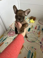 processed/b3d53036-d321-4348-952b-f041d7163909/listing/a380c576-c73b-40b5-a8b9-661b5251c23a/46c160d3-dfa5-45bf-b60e-15392902243f