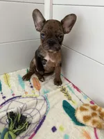 processed/b3d53036-d321-4348-952b-f041d7163909/listing/a380c576-c73b-40b5-a8b9-661b5251c23a/489d731b-cef0-491c-ae33-5c3aa84cbf69