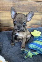 processed/b3d53036-d321-4348-952b-f041d7163909/listing/a380c576-c73b-40b5-a8b9-661b5251c23a/ad636455-f321-4d09-bba2-721b41d530dc