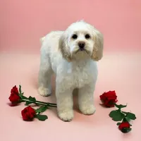 processed/b3f4ce51-d07d-48f9-95f8-c68142bb0106/facility/314feaaf-bda5-4f31-b247-d33885bd47be