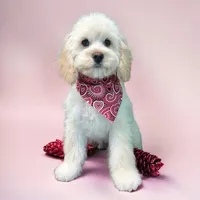 processed/b3f4ce51-d07d-48f9-95f8-c68142bb0106/facility/aeb984c3-fdd5-4465-a4bc-b65f24a670ab