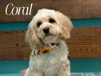 processed/b3f4ce51-d07d-48f9-95f8-c68142bb0106/listing/758285bb-4dd0-4577-b64c-ee84922dc001/5447db32-def9-4097-ba42-8ae36d916c0e