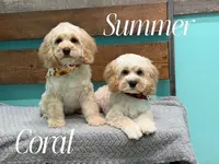 processed/b3f4ce51-d07d-48f9-95f8-c68142bb0106/listing/758285bb-4dd0-4577-b64c-ee84922dc001/5d18eef1-97c4-40cd-a1bb-3ced8ab1a082