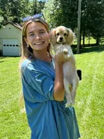 SAS, a female Cockapoo for sale in Blacksburg, VA – 2 of 3