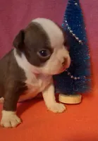 processed/b3f625ac-3836-4151-9f3b-96e2932f301f/listing/63214a7c-9ef7-4534-aadd-7b027b2633c3/3593bdb9-5e03-4d89-b77b-f2bfde7dfa0f