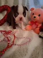 processed/b3f625ac-3836-4151-9f3b-96e2932f301f/listing/63214a7c-9ef7-4534-aadd-7b027b2633c3/521bca6a-48ef-41aa-a0f1-0d1819b9a563