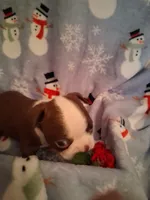 processed/b3f625ac-3836-4151-9f3b-96e2932f301f/listing/63214a7c-9ef7-4534-aadd-7b027b2633c3/d5c970bf-019a-489f-9fe3-529633a0cfe8