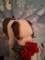 processed/b3f625ac-3836-4151-9f3b-96e2932f301f/listing/982fe804-2d26-458f-9e43-cb92210155d0/a315eb27-e2ec-4b55-8274-968afc4af801