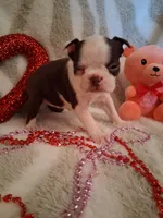 processed/b3f625ac-3836-4151-9f3b-96e2932f301f/listing/982fe804-2d26-458f-9e43-cb92210155d0/e36dcb5d-b34b-4a3e-960b-adcc355bf944