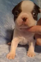 processed/b3f625ac-3836-4151-9f3b-96e2932f301f/listing/f9edb2bf-dcf1-4970-ab60-4d0eb3e4c70d/6f904282-53aa-4465-a4a3-6290dcd08b19