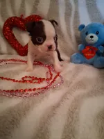 processed/b3f625ac-3836-4151-9f3b-96e2932f301f/listing/f9edb2bf-dcf1-4970-ab60-4d0eb3e4c70d/d7d1633e-8e96-448e-9d30-b966d6926962