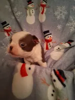 processed/b3f625ac-3836-4151-9f3b-96e2932f301f/listing/f9edb2bf-dcf1-4970-ab60-4d0eb3e4c70d/f3626428-59e2-4b3e-915f-8d087fd08af3