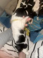 processed/b4015cdd-f89c-4c45-bde6-bb9294f9661a/listing/1e5e75da-fac6-44c3-b46f-142fc21840db/34e72721-c7c0-49dc-adf0-f4415e8b08ed