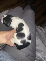 processed/b4015cdd-f89c-4c45-bde6-bb9294f9661a/listing/1e5e75da-fac6-44c3-b46f-142fc21840db/59d64164-f8a7-440d-b7cb-d297a6a1d7c2