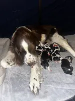 processed/b4015cdd-f89c-4c45-bde6-bb9294f9661a/listing/1e5e75da-fac6-44c3-b46f-142fc21840db/88098fa3-d440-4119-b57c-493ad06ec62b