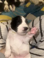 processed/b4015cdd-f89c-4c45-bde6-bb9294f9661a/listing/1e5e75da-fac6-44c3-b46f-142fc21840db/c537cf9c-6fc9-4a69-8e45-a2f6850da717