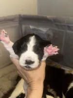 processed/b4015cdd-f89c-4c45-bde6-bb9294f9661a/listing/1e5e75da-fac6-44c3-b46f-142fc21840db/d0dd6955-6115-48a3-9e00-b9283090bfd0