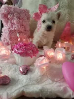 processed/b403f7e8-5193-40ce-b100-733349fcebbf/listing/3f2f1739-708c-4caa-b593-f1e1c05cf0d6/2aca91a7-d547-4937-b944-6dc83419301b