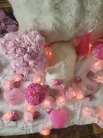 processed/b403f7e8-5193-40ce-b100-733349fcebbf/listing/3f2f1739-708c-4caa-b593-f1e1c05cf0d6/8207eb64-f31d-4573-9def-8c1109d81e0a