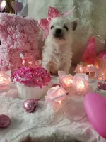 processed/b403f7e8-5193-40ce-b100-733349fcebbf/listing/3f2f1739-708c-4caa-b593-f1e1c05cf0d6/9b34ed0f-8dec-4f95-8325-c5a65b94826a