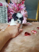 processed/b403f7e8-5193-40ce-b100-733349fcebbf/listing/c98b0453-4f40-4fef-ab00-335c92f39e01/1b048030-4831-4b15-9264-d106a4bbe3ed